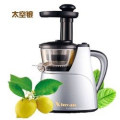 2015 Obst und Gemüse Multifunktionale langsame Mastixierung Single Auger Juicer Extractor Low Speed ​​Juicer Slow Juicer